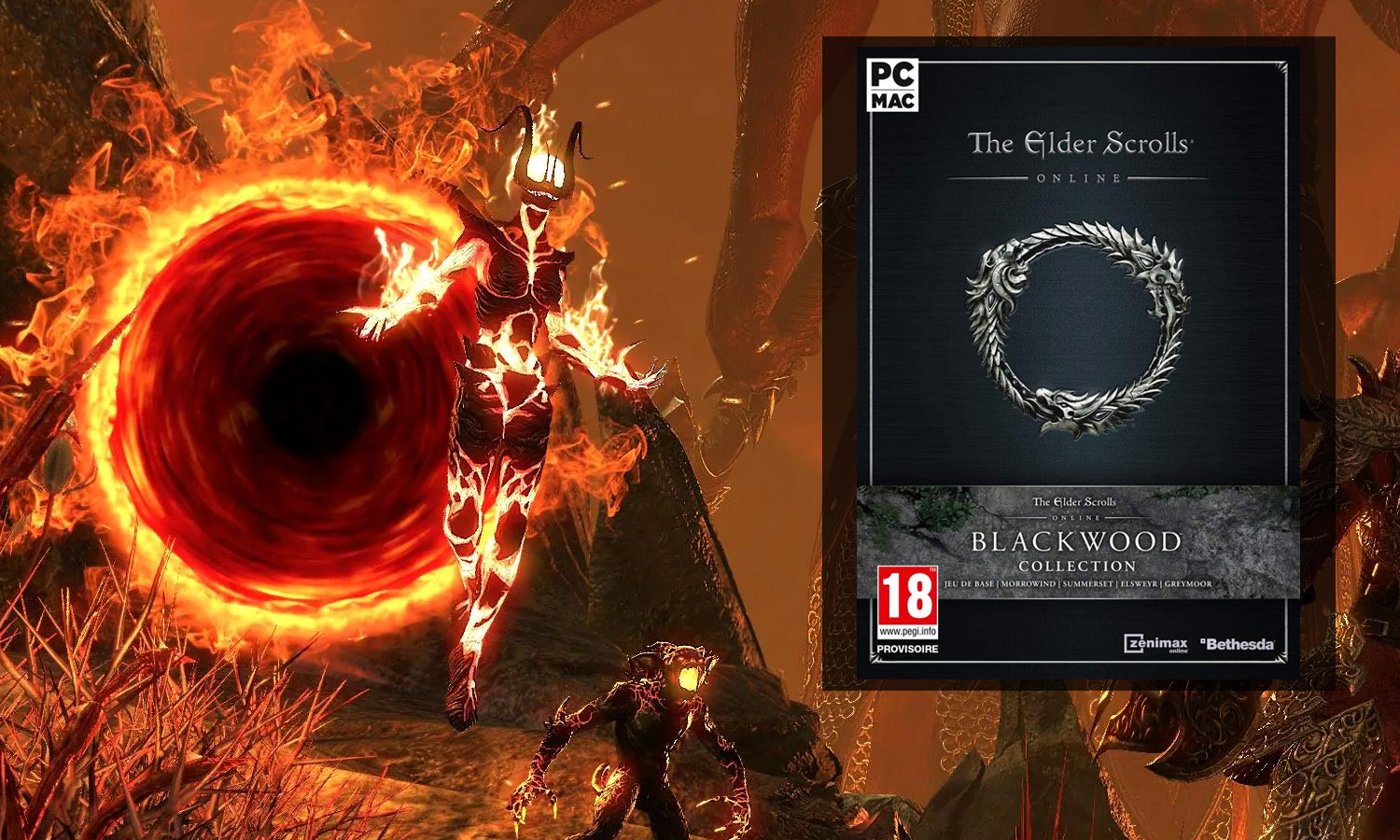 The Elder Scrolls Online Blackwood Sur PC ChocoBonPlan