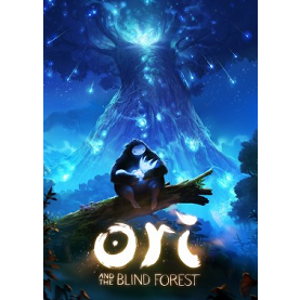ori-and-the-blind-forest-definitive-edition-sur-pc