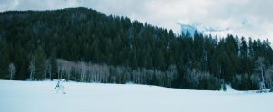 avis wind river