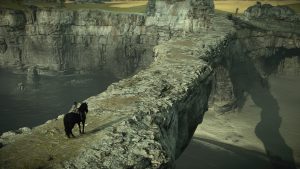 test shadow of the colossus ps4 copie parfaite