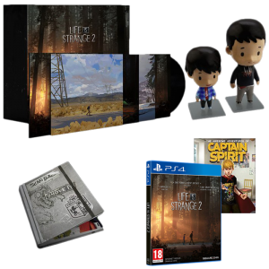 life is strange 2 collector ps4