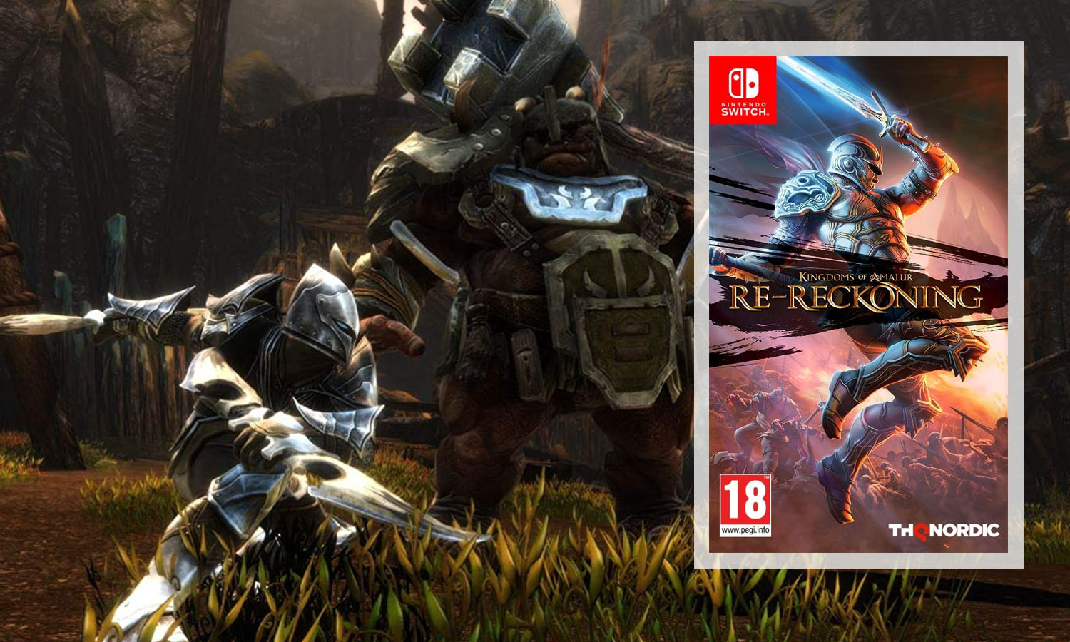 kingdoms of amalur switch download free