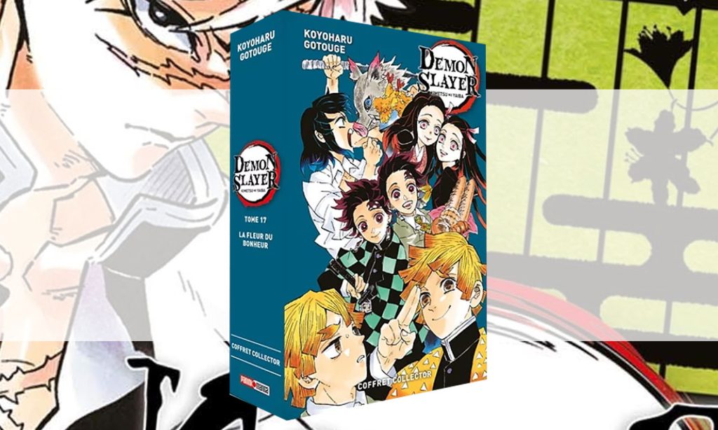 Demon Slayer Tome 17 Collector + Roman | ChocoBonPlan.com