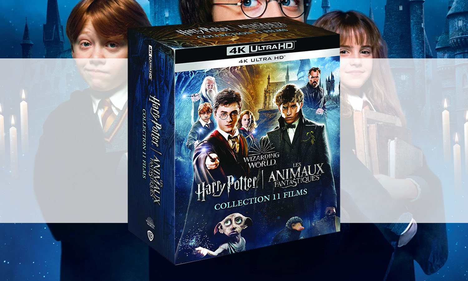 Harry Potter : Nouveau coffret Blu-ray intégrale avec Les Animaux  Fantastiques