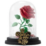 rose sfc visuel produit