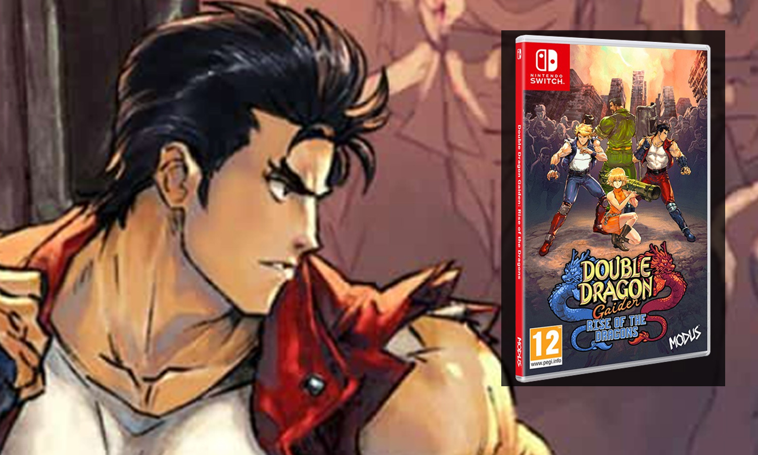 Double Dragon Collection Nintendo Switch : : Jeux vidéo