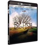 big fish blu ray 4k blu ray visuel produit
