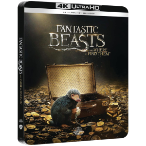 les animaux fantastiques steelbook limite blu ray 4k visuel produit