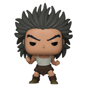 funko uvogin hunter x hunter visuel produit