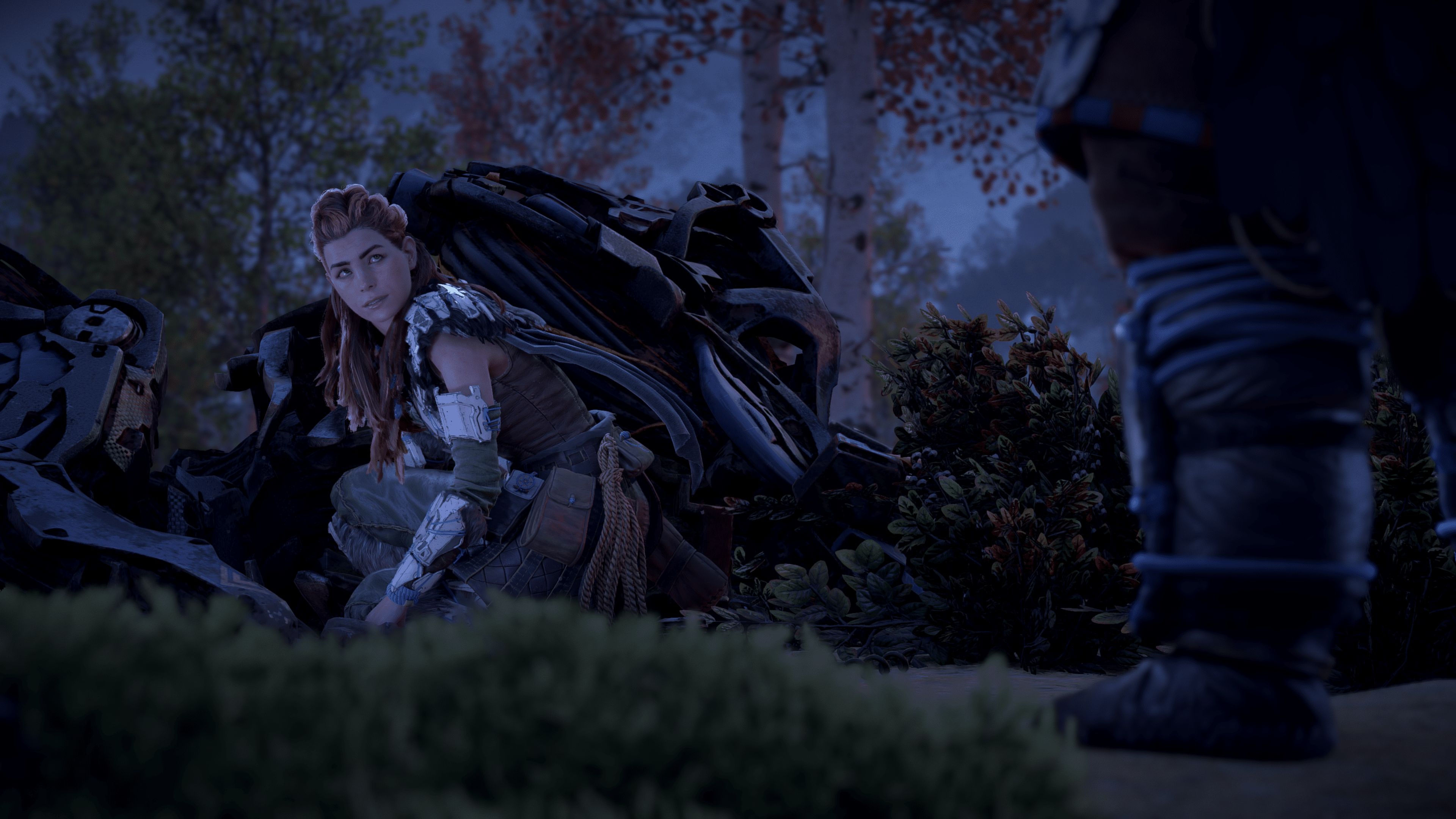 Horizon Zero Dawn™ Remastered_20241101122545