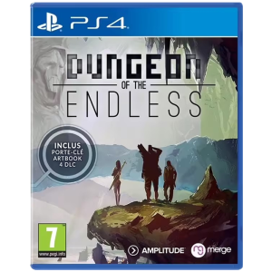 Dungeon of the Endless sur PS4 def produit