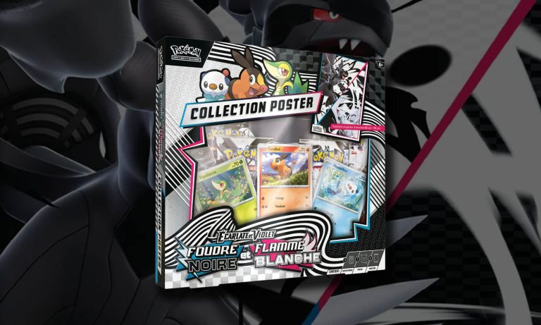 Coffret Collector Sims – Poster Et Stickers – Occasion