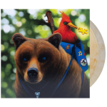 Vinyle Banjo-Kazooie produit v2