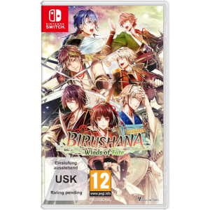 birushana winds of fate sur switch visuel produit