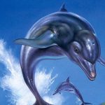 SLIDER Ecco The Dolphin Complete 30 ans plus tard le dauphin refait surface