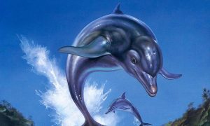 SLIDER Ecco The Dolphin Complete 30 ans plus tard le dauphin refait surface