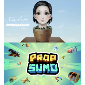 TOMAK et Prop Sumo epic games produit