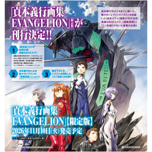 artbook sadamoto evangelion edition limitee visuel produit