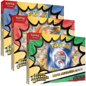 coffret ex me25 aleatoire roitiflam aligatueur meganium visuel produit