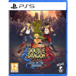 double dragon gaiden rise of the dragons sur ps5 visuel produit_20260603184107